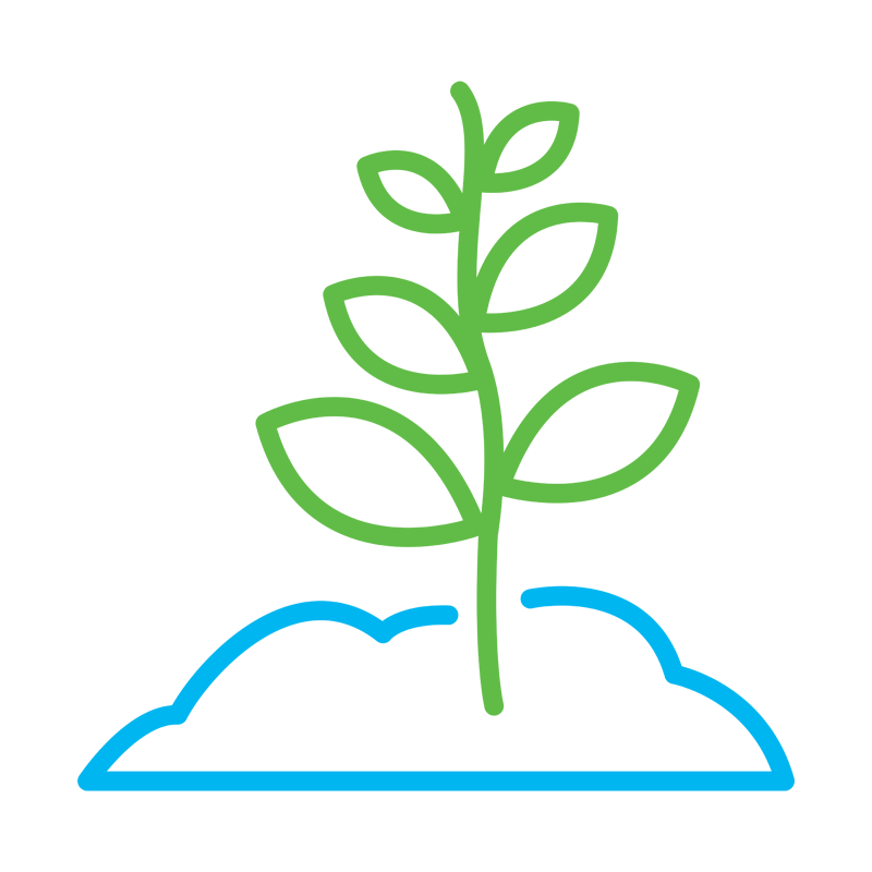 Growth seedling outline icon 4_colored