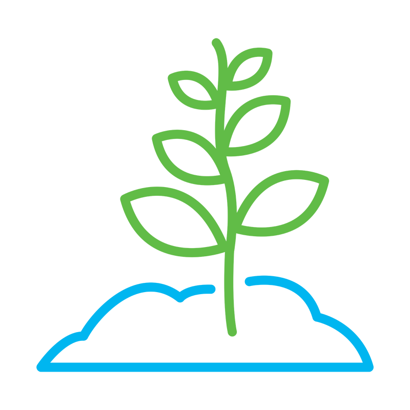 Growth seedling outline icon 4_colored